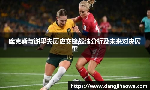 库克斯与谢里夫历史交锋战绩分析及未来对决展望