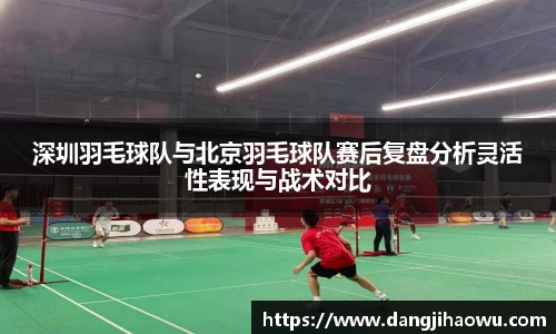 深圳羽毛球队与北京羽毛球队赛后复盘分析灵活性表现与战术对比
