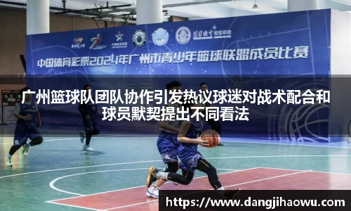 广州篮球队团队协作引发热议球迷对战术配合和球员默契提出不同看法