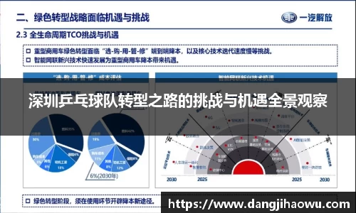 深圳乒乓球队转型之路的挑战与机遇全景观察