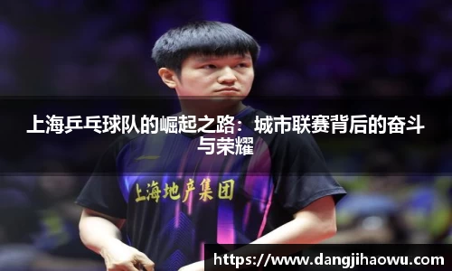 乐动LDSports体育