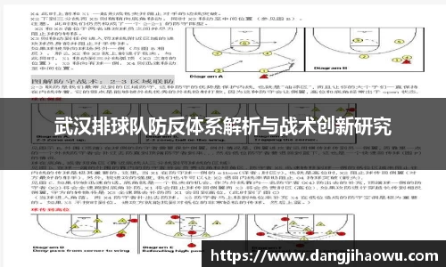 武汉排球队防反体系解析与战术创新研究