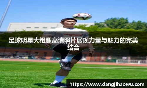 乐动LDSports综合体育