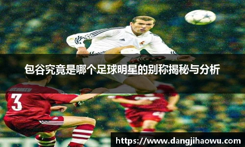 包谷究竟是哪个足球明星的别称揭秘与分析