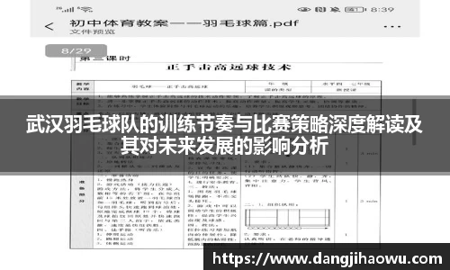 武汉羽毛球队的训练节奏与比赛策略深度解读及其对未来发展的影响分析