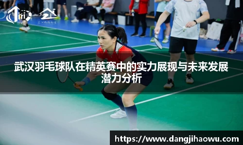 武汉羽毛球队在精英赛中的实力展现与未来发展潜力分析